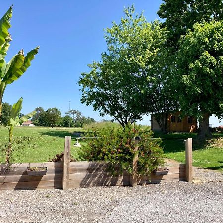 Le Domaine De Darracq Ξενοδοχείο Arsagne Εξωτερικό φωτογραφία